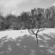 Colombey-les-Belles 31/01/2019