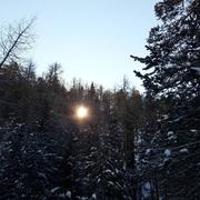 Innsbruck 31/01/2019