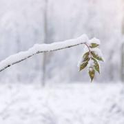 Rétonval 31/01/2019