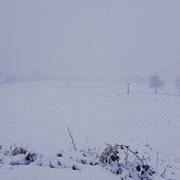 Saint-Georges-des-Groseillers 31/01/2019