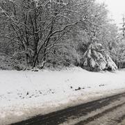 Le Plessis-Grimoult 31/01/2019