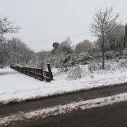 Condé-sur-Noireau 31/01/2019