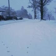 Saint-Georges-des-Groseillers 31/01/2019