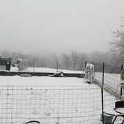 La Roche-sur-Foron 01/02/2019