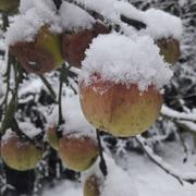 Montmirail 01/02/2019