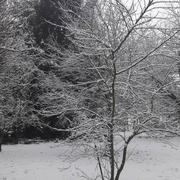 Montmirail 01/02/2019