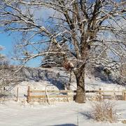 Saint-Saturnin-lès-Apt 02/02/2019
