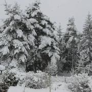 Saint-Flour 02/02/2019