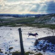 Lachambre 03/02/2019