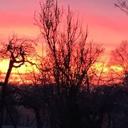 Saint-Phal 04/02/2019