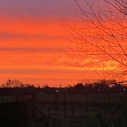 Bouin-Plumoison 04/02/2019