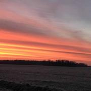 Neufmoutiers-en-Brie 09/02/2019