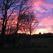 Saint-Gravé 11/02/2019