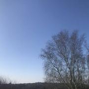 Saint-Jean-du-Doigt 16/02/2019