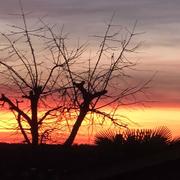 Soignolles-en-Brie 16/02/2019