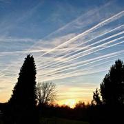 Saint-Junien 19/02/2019