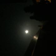 Terminiers 20/02/2019