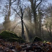 Langourla 24/02/2019