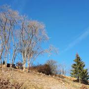 Fontaine-le-Bourg 24/02/2019