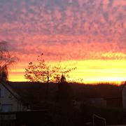 Marest-sur-Matz 26/02/2019