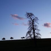 Chaumont-Porcien 07/04/2010