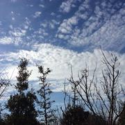 Longeville-sur-Mer 02/03/2019