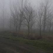 Les Brouzils 03/03/2019