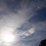 Rion-des-Landes 04/03/2019