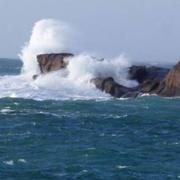 Trégastel 04/03/2019