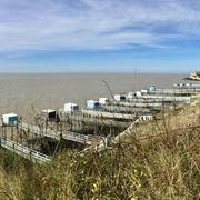 Talmont-sur-Gironde 04/03/2019