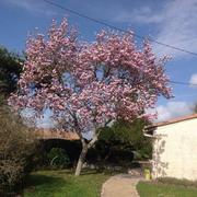 Saint-Germain-de-la-Rivière 05/03/2019