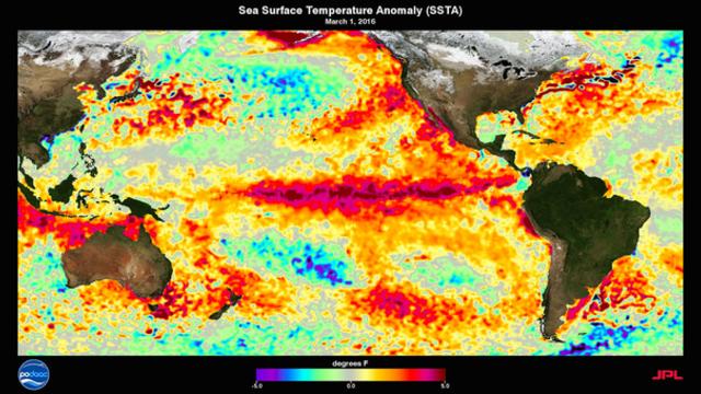 Quel sera l'impact d'El Nino sur notre été ?
