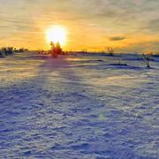 Le Hohwald 07/03/2019