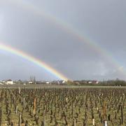 Nuits-Saint-Georges 07/03/2019