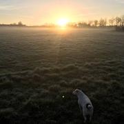 La Mézière 08/03/2019