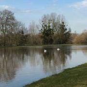 Saint-Florent-sur-Cher 12/03/2019