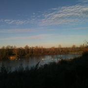 Saint-Florent-sur-Cher 12/03/2019