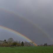 Saint-Pierre-de-Plesguen 13/03/2019