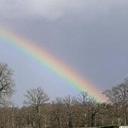 Saint-Pierre-de-Plesguen 13/03/2019