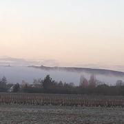 Nuits-Saint-Georges 13/03/2019