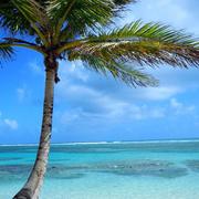 Sainte-Anne 16/03/2019