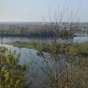 Saint-Florent-le-Vieil 23/03/2019