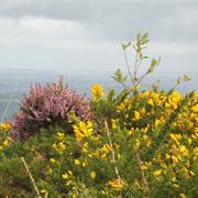 Plomodiern 26/03/2019