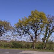 Saint-Étienne-de-Mer-Morte 30/03/2019