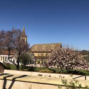 La Bénisson-Dieu 01/04/2019