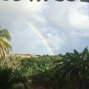 Sainte-Rose 02/04/2019