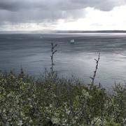 Plougastel-Daoulas 03/04/2019