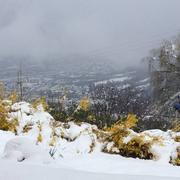 Saint-Pancrace 05/04/2019