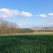 Rantzwiller 09/04/2019