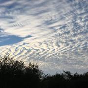 Saint-Alban 12/04/2019